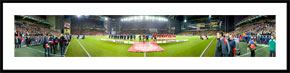 Danmark-Sverige Landskamp 2009 - 360 graders panoramabillede i farver